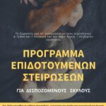 κυμα