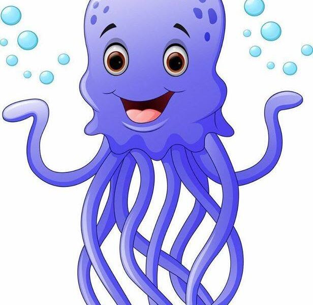 67757073_2356814774584447_1911011278487289856_n