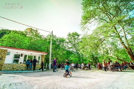 32856060_193879111425616_6539412527946661888_n