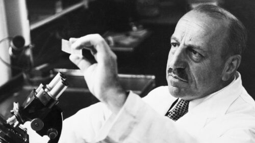 georgios_papanikolaou