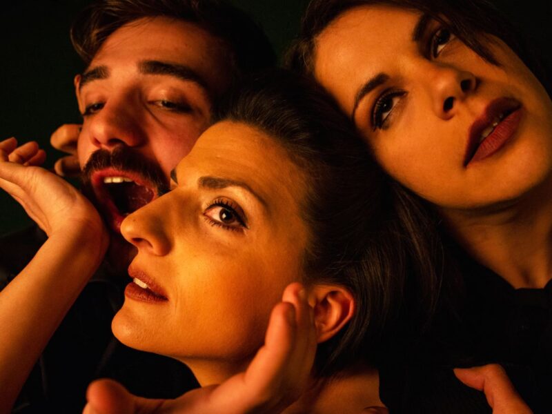 Οι Ηλίθιοι 3