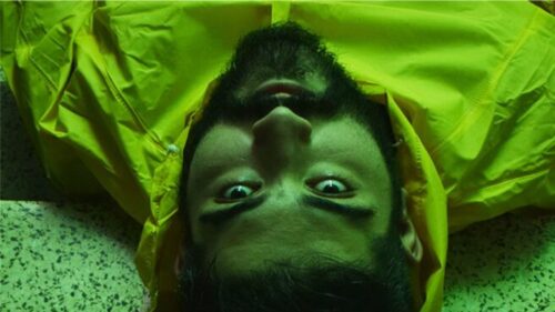 5-ΘΑ-ΓΙΝΩ-ΜΥΔΙΑ-656x1024