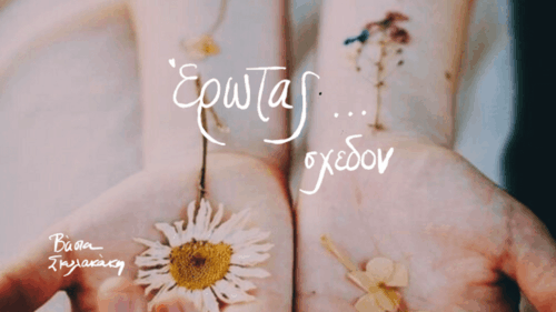 stories_2423_1272 (1)