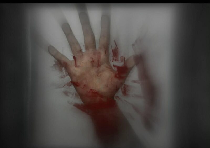 6c0f2013-019f-47fb-81a6-6063b418f893