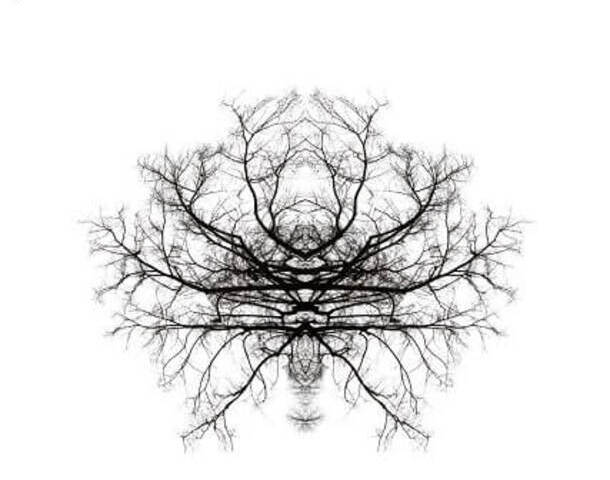 stories_2524_5903 (1) (1)